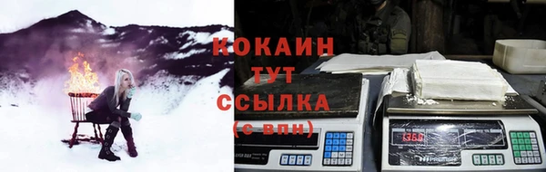 каннабис Аркадак
