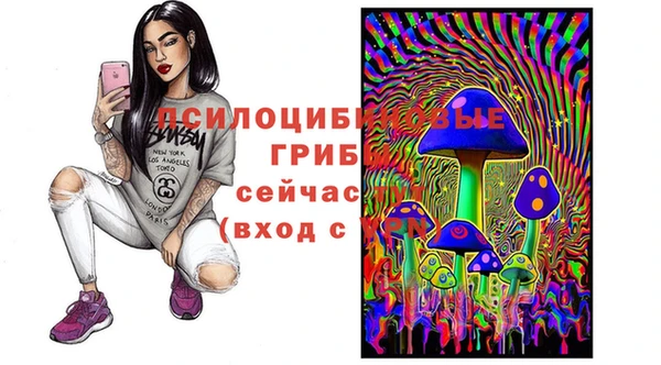 таблы Армянск